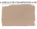 [E48-P1] Lamelle de Champignon n° 48 (1kg can)